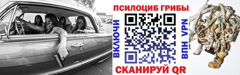 дарнет шоп  Махачкала  Псилоцибиновые грибы прущие грибы 